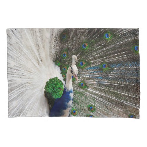 White Blue Peacock Pillow Case