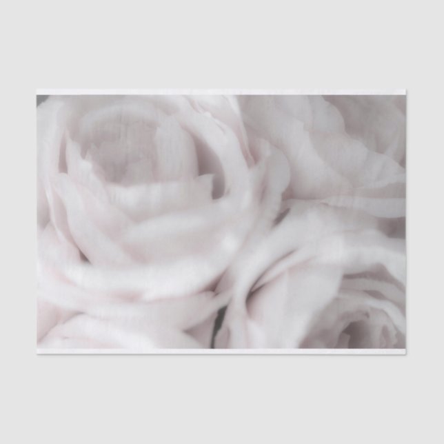 White Blush Roses Elegant Minimal Wedding Tissue Paper (Front)