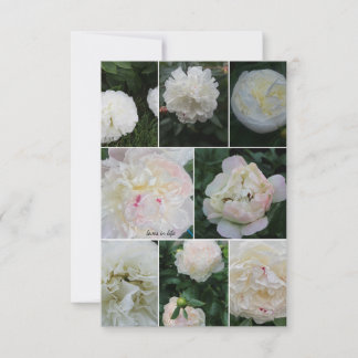 White Blushing Peony Collage Note Card
