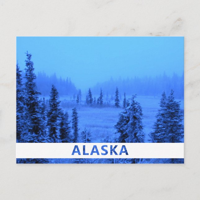 White Border for your Alaskan Vacation Photo Postcard (Front)
