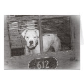 White Boxer Dog Behind Door, Black and White (Front Horizontal)