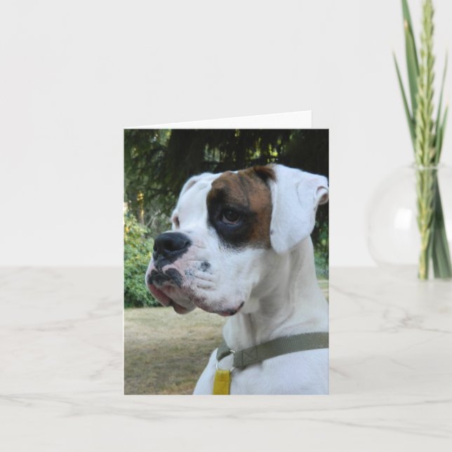 White Boxer Dog Portrait Card (Front)