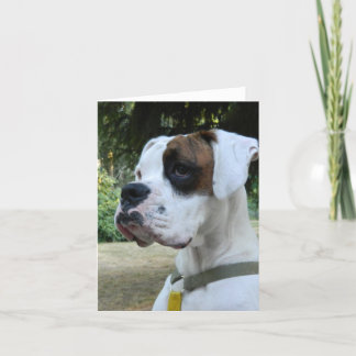 White Boxer Dog Portrait Card