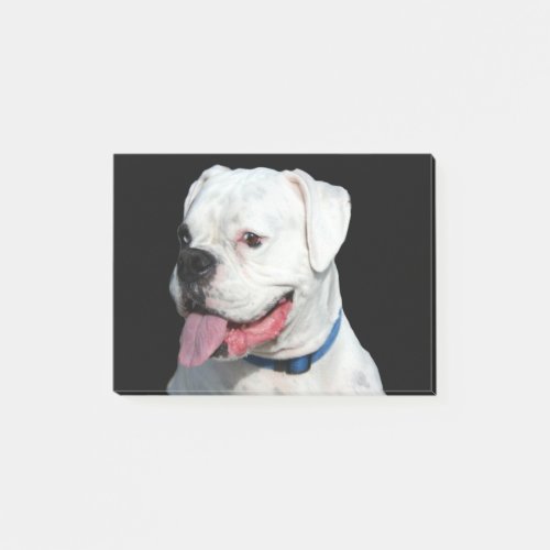 White Boxer dog Post_it Notes