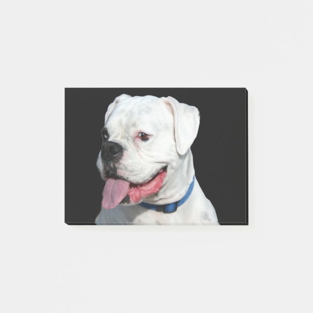White Boxer dog Post-it Notes (Front)