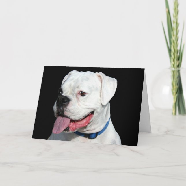 White Boxer greeting card (Front)