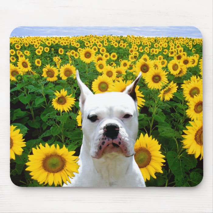 White boxer in sunflowers mousepad