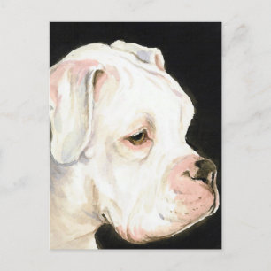 White Boxer Original Dog Art Postcard