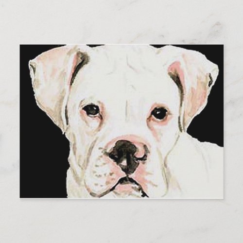White Boxer Original Dog Art Postcard