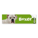 White Boxer Photo Bumper Sticker