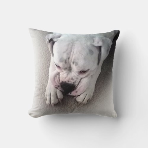 White Boxer Pillow