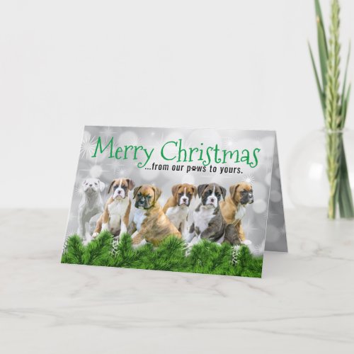 White Boxer Puppies _ Merry Christmas Dog Thank You Card