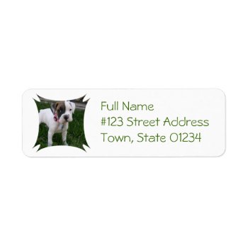 White Boxer Puppy Return Address Label by DogPoundGifts at Zazzle