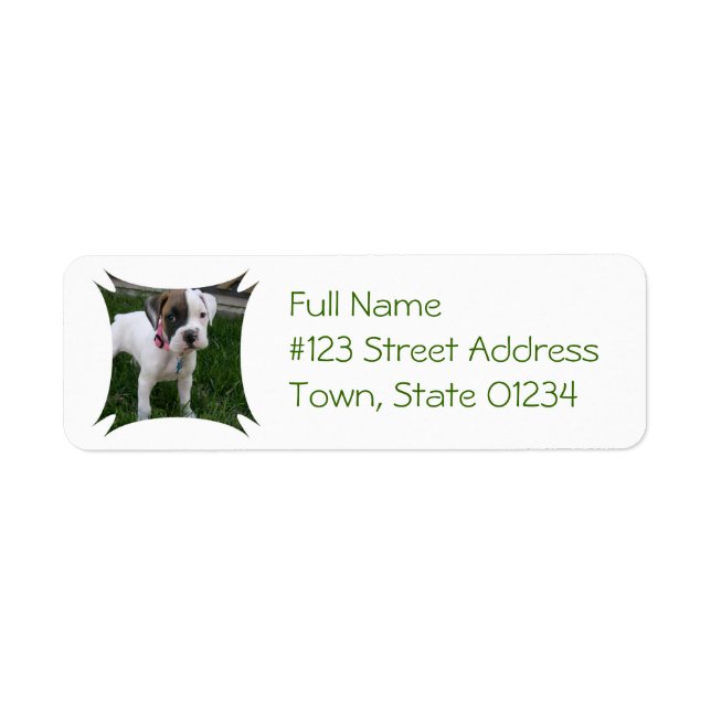 White Boxer Puppy Return Address Label (Front)