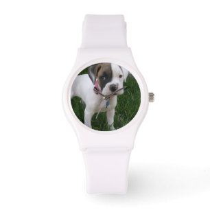 White Boxer Puppy Watch