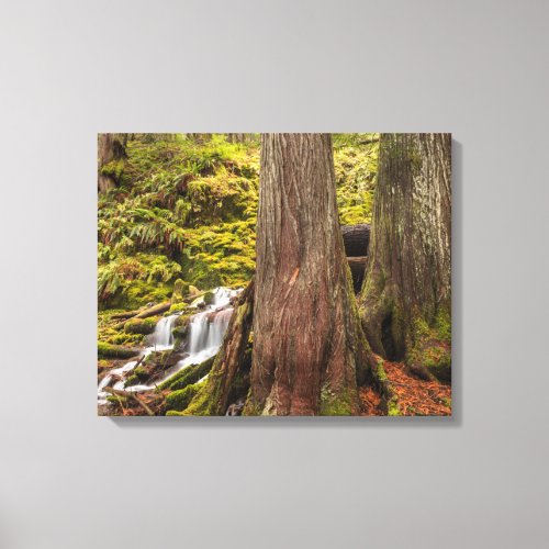 White Branch Falls Oregon Cascades Oregon Canvas Print