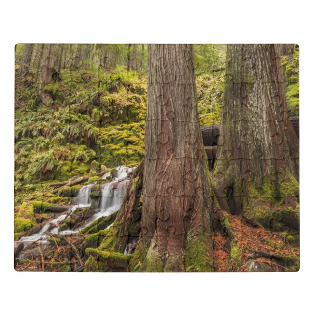 White Branch Falls, Oregon Cascades, Oregon Jigsaw Puzzle (Puzzle Horizontal)