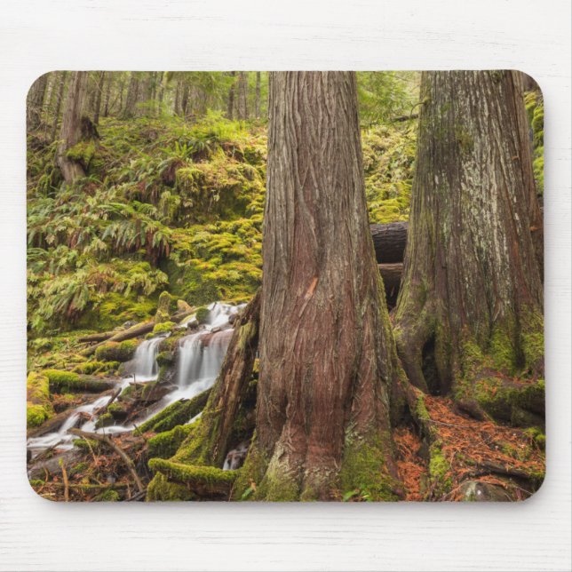 White Branch Falls, Oregon Cascades, Oregon Mouse Pad (Front)