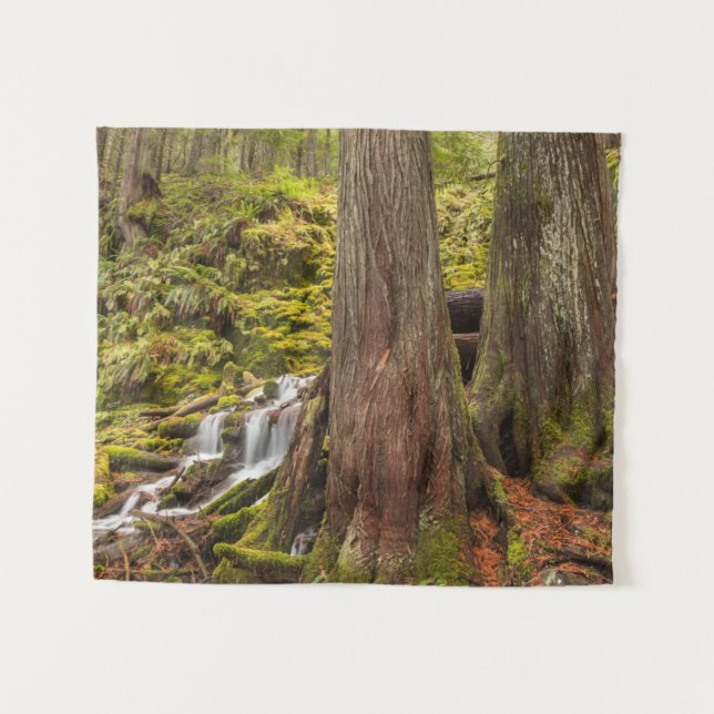 White Branch Falls, Oregon Cascades, Oregon Tapestry (Front (Horizontal))