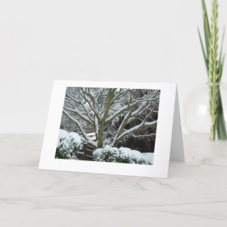 White Branches Card