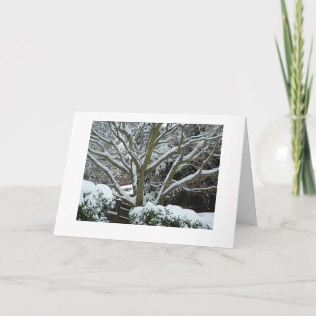 White Branches Card (Front)