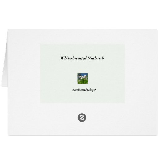 White-breasted Nuthatch (Back Horizontal)