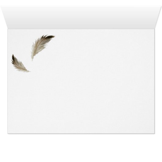 White-breasted Nuthatch (Inside Horizontal (Bottom))