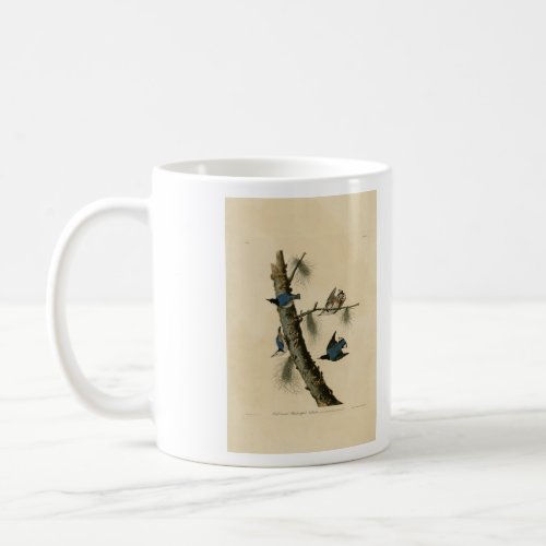 White Breasted Nuthatch Audubons Birds of America Coffee Mug