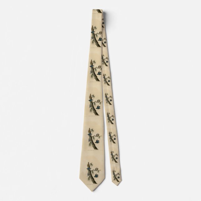 White Breasted Nuthatch Audubon's Birds of America Neck Tie (Front)