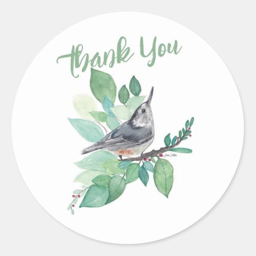 White Breasted Nuthatch Bird Art Classic Round Sticker