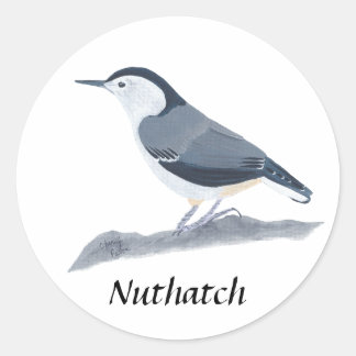 White Breasted Nuthatch Bird Painting Stickers