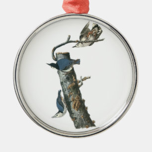 White-breasted Nuthatch by Audubon Metal Ornament