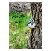 White Breasted Nuthatch Card (Front)