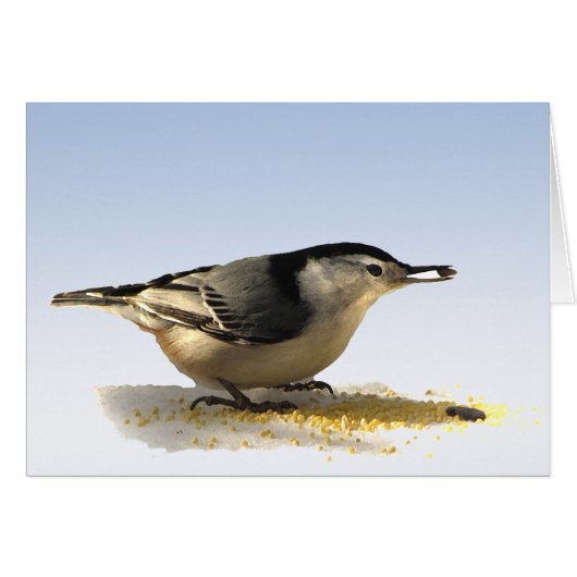White-breasted Nuthatch Cards (Front Horizontal)