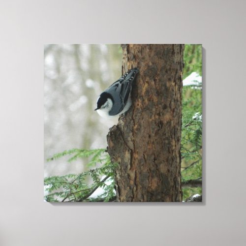 White Breasted Nuthatch Forest Canvas Print