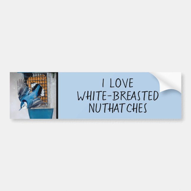White-Breasted Nuthatch in Snow - Original Photo Bumper Sticker (Front)