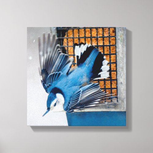 White_Breasted Nuthatch in Snow _ Original Photo Canvas Print