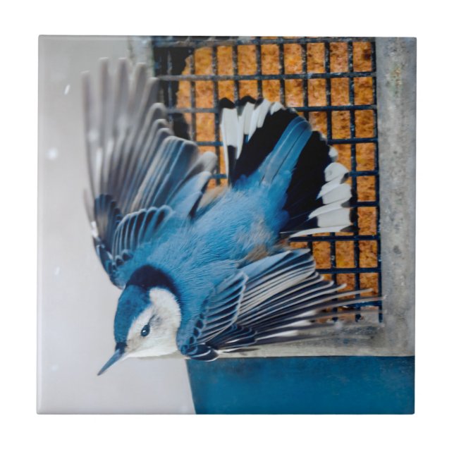 White-Breasted Nuthatch in Snow - Original Photo Ceramic Tile (Front)