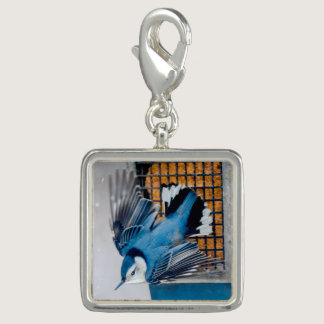 White-Breasted Nuthatch in Snow - Original Photo Charm