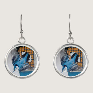 White-Breasted Nuthatch in Snow - Original Photo Earrings