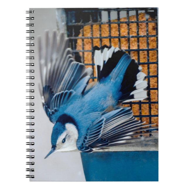 White-Breasted Nuthatch in Snow - Original Photo Notebook (Front)