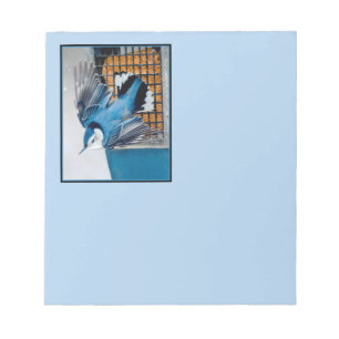 White-Breasted Nuthatch in Snow - Original Photo Notepad