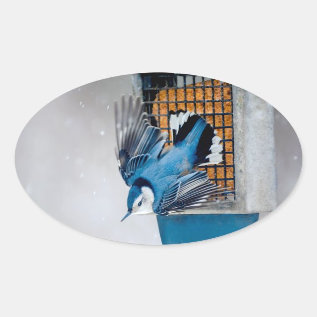 White-Breasted Nuthatch in Snow - Original Photo Oval Sticker (Front)