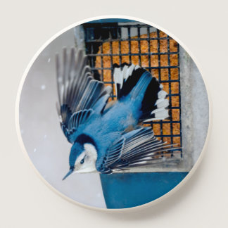 White-Breasted Nuthatch in Snow - Original Photo PopSocket