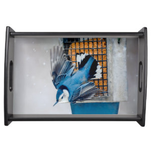 White-Breasted Nuthatch in Snow - Original Photo Serving Tray