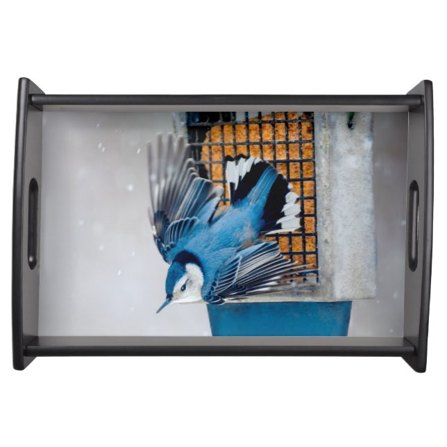 White-Breasted Nuthatch in Snow - Original Photo Serving Tray (Front)
