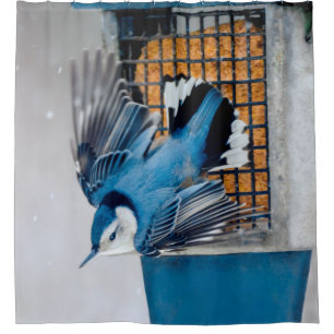 White-Breasted Nuthatch in Snow - Original Photo Shower Curtain