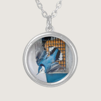 White-Breasted Nuthatch in Snow - Original Photo Silver Plated Necklace