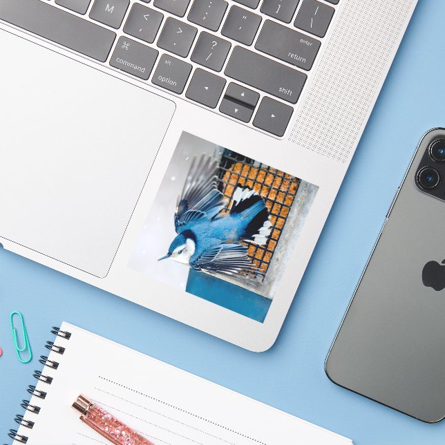 White-Breasted Nuthatch in Snow - Original Photo Sticker (Laptop w/ iPhone)