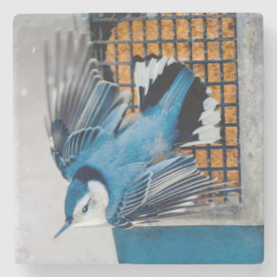 White-Breasted Nuthatch in Snow - Original Photo Stone Coaster